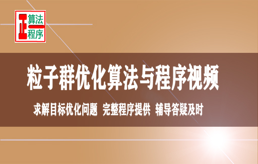 粒子群优化算法PSO及其应用问题与MATLAB程序视频学习指导